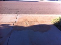 IMG_0509m.jpg