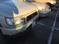 IMG_5704.jpg
