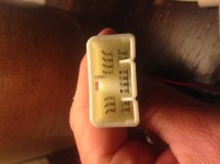 IMG_1230.jpg