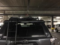 IMG_1556.jpg