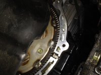 flex plate.jpg