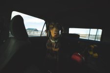 4Runner Interior-6.jpg