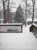 IMG_20160122_164436.jpg