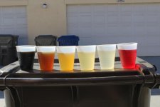 IMG_8036.jpg