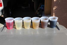 IMG_8037.jpg