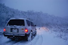 DSC_5567.jpg