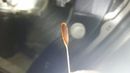 20151207_030353.jpg