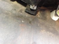 IMG_1069.jpg