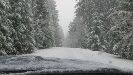 IMG_0694.jpg