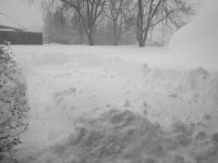 IMG_20160123_092153.jpg