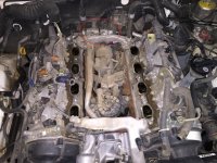 v8 starter.jpg