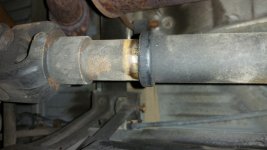 20160330_180322.jpg