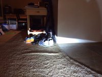 IMG_6572.JPG