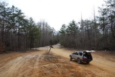 DSC_3542.jpg DSC_3542.jpg