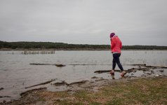 IMG_6130.jpg