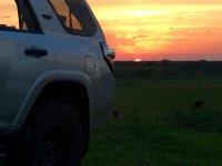 sunset.jpg