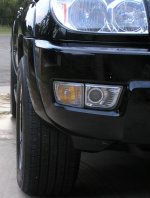 wheel wells1.jpg