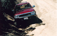 scan0005.gif