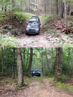 george washington national forest.jpg
