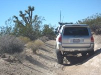 mojave 034-1.jpg