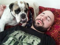 guard dog.jpg