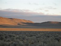 img5.jpg
