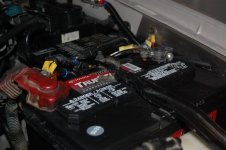DSC_5355.jpg