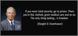quote-if-you-want-total-security-go-to-prison-there-you-re-fed-clothed-given-medical-care-and-so.jpg