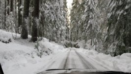 20151214_154251[1].jpg