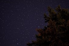 DSC_3951.jpg DSC_3951.jpg
