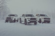 2017 Toyota Group Photo.jpg