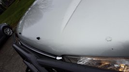 20160215_141700.jpg