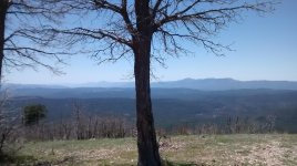 IMG_20160424_115234613.jpg