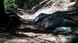 IMG_20160424_132206.jpg