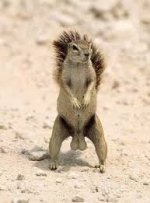 nutz.jpe nutz.jpe