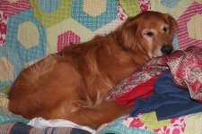 Bella 9.jpg
