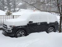 IMG_0226.jpg