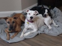 IMG_20160216_190247966.jpg