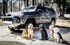 4runner-1-3.jpg