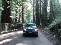 IMG_20160214_153600[1].jpg