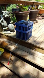 20160515_124208.jpg