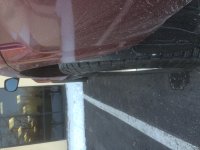 IMG_4696.jpg