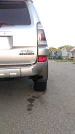 IMAG0983.jpg