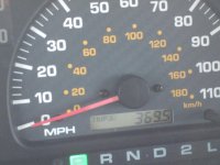 IMG_20160404_075008.jpg