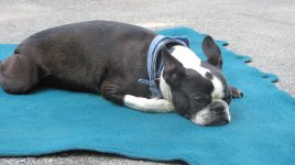 IMG_8523.jpg