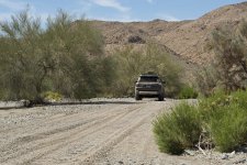 JoshuaTree16,Sized7678.jpg