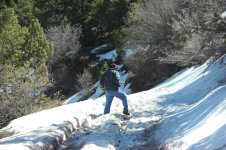 stoppedbysnow.jpg