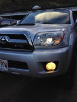IMG_1234.jpg