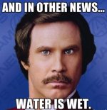 RON BURGANDY.jpg