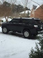 Trail before.jpg